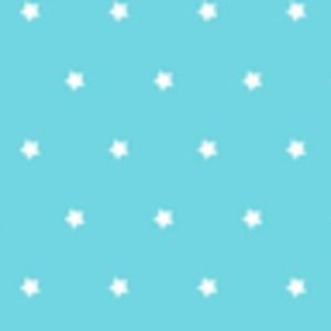 Meet your Posher, Bradi